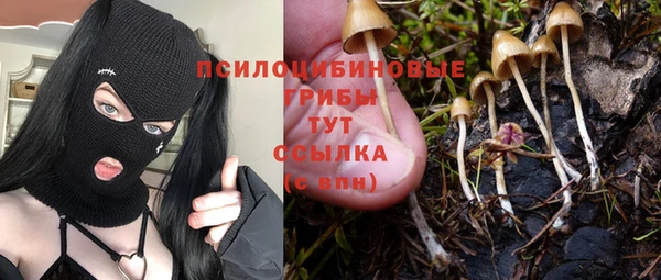 трава Аркадак