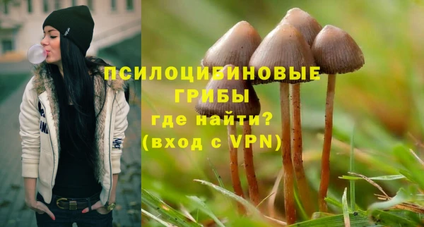 трава Аркадак