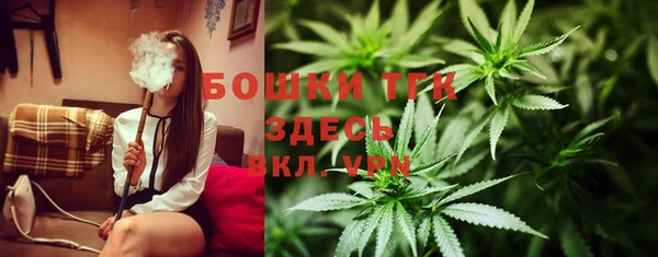 трава Аркадак