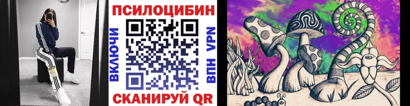 как найти наркотики  Бабушкин  Псилоцибиновые грибы MAGIC MUSHROOMS 