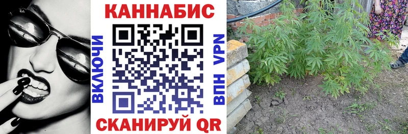 Марихуана VHQ  Бабушкин 